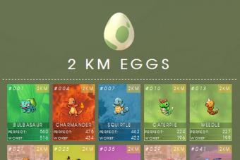 Как вырастить покемона из яйца в Pokemon Go