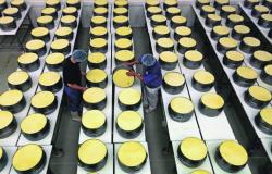 Оборудование и технология производства сыра